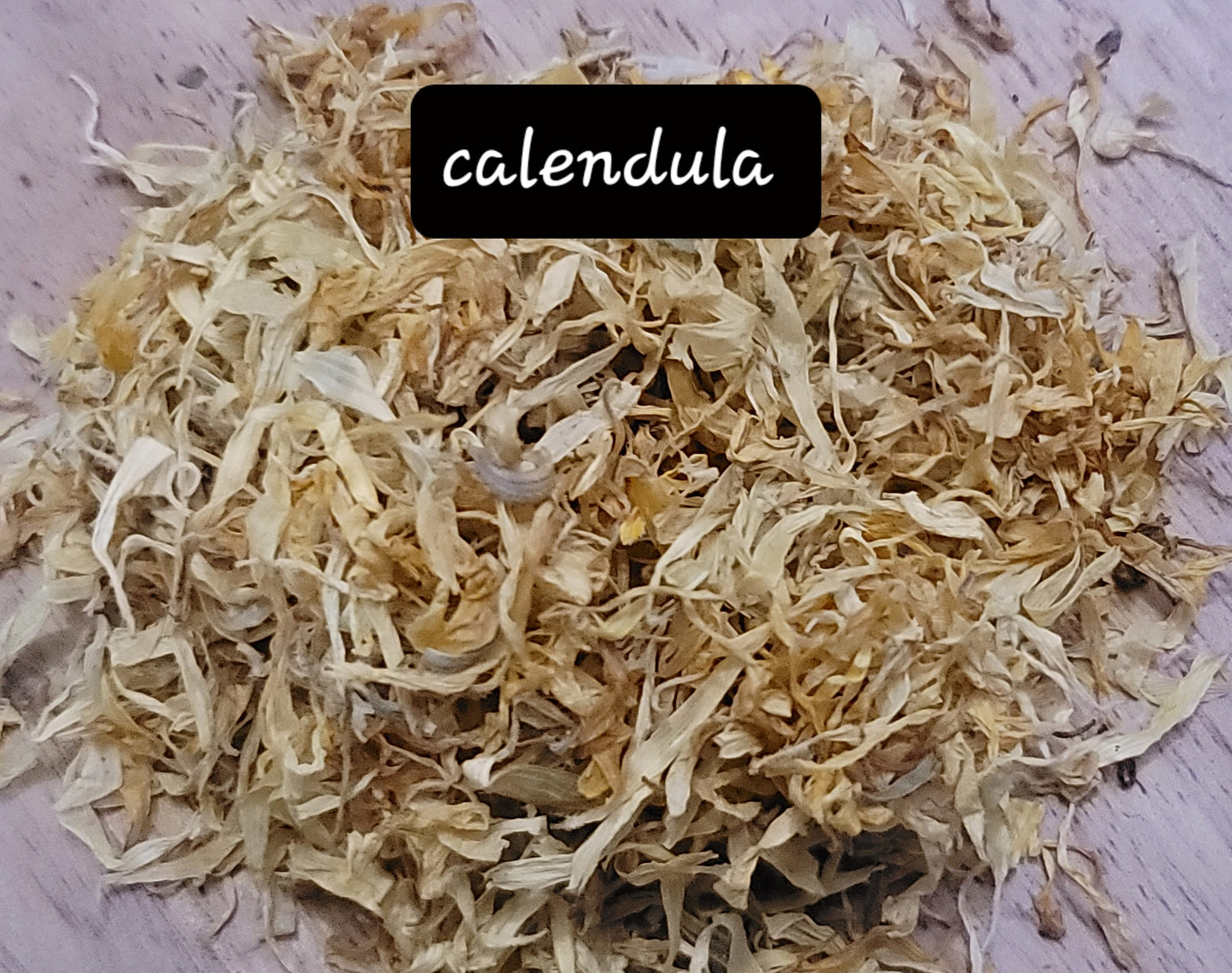 Calendula