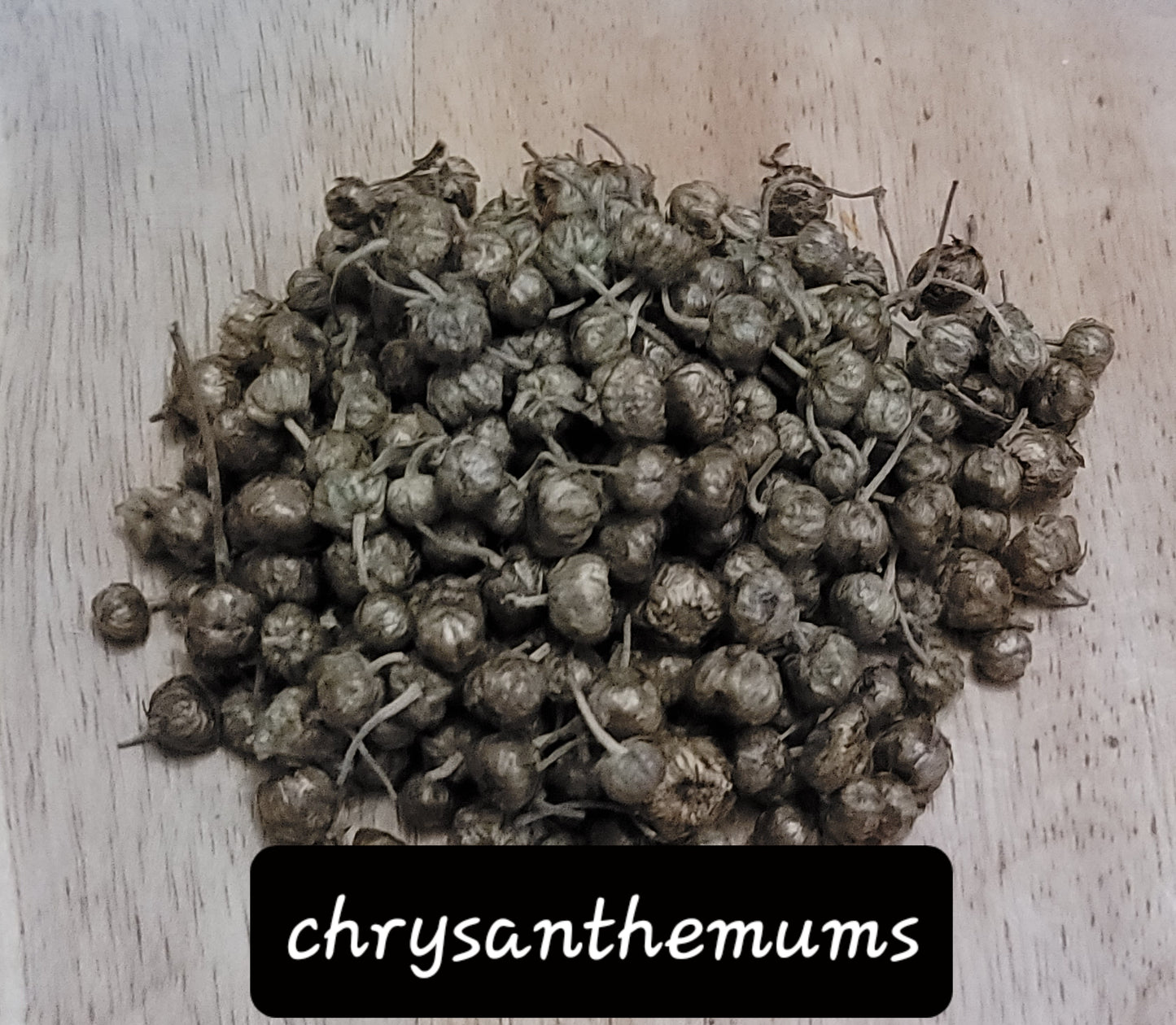 Chrysanthemum