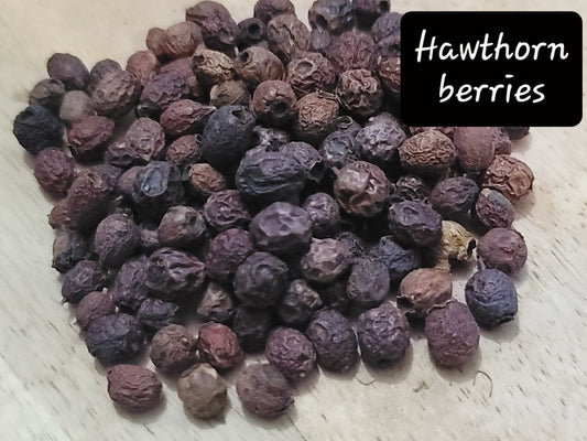 Hawthorne Berries