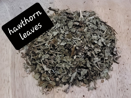Hawthorne Leaf