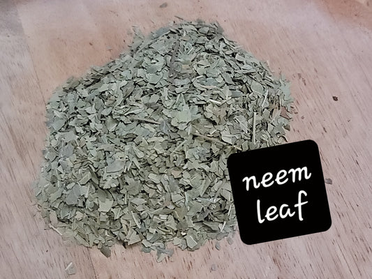 Neem Leaf