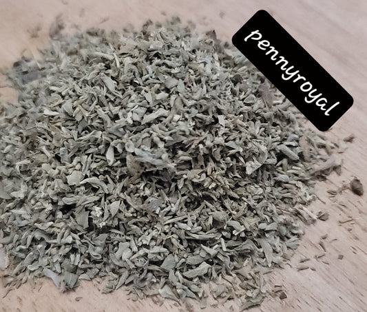 Pennyroyal