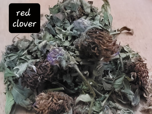 Red Clover