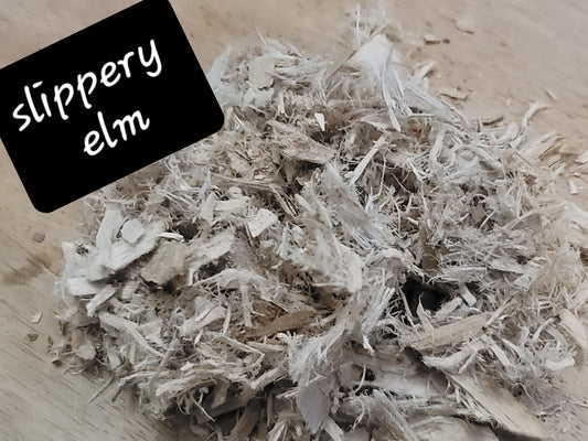 Slippery Elm