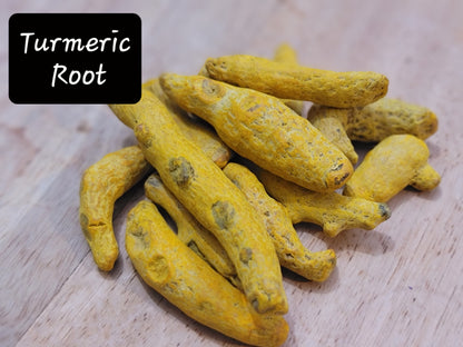 Turmeric Root